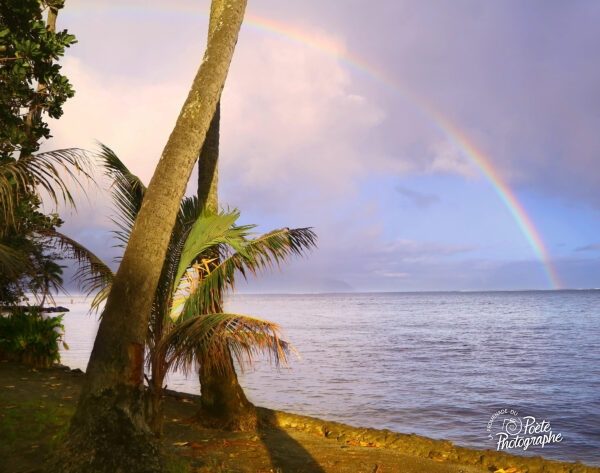 Arc-en-ciel sous les tropiques