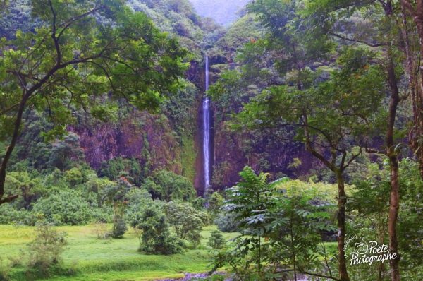 Cascade au calme