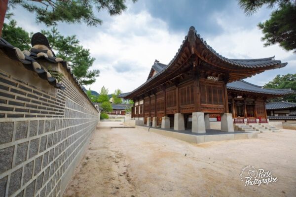 Distorision au Chusubuyong