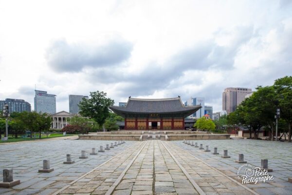 Invitation au palais