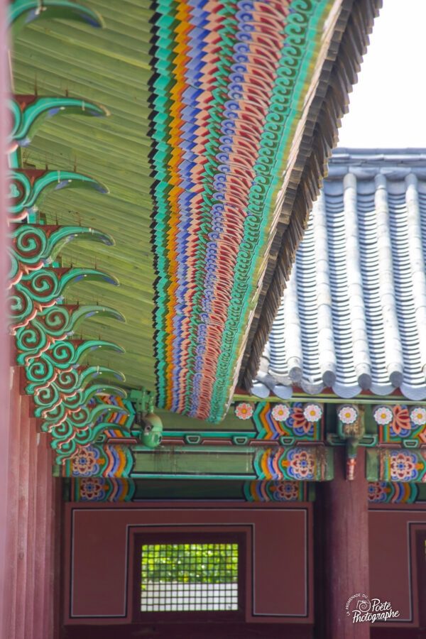 La course aux couleurs