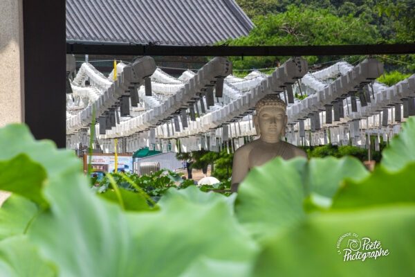 Nature et spiritualité