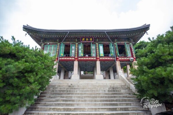 Ouvert aux quatre vents